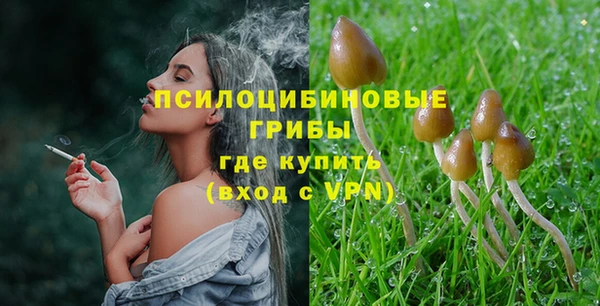 молекула духа Алексин