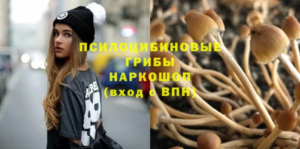 СК Абаза